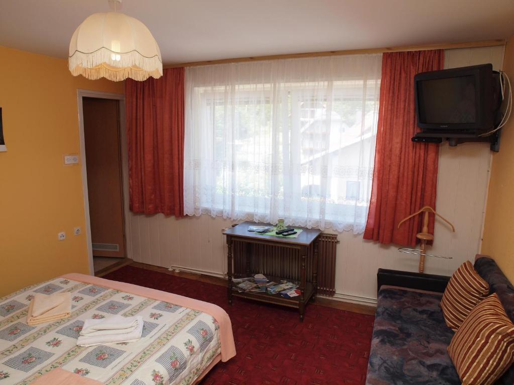 Apartments Gale Delnice Rum bild